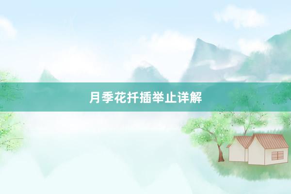 月季花扦插举止详解