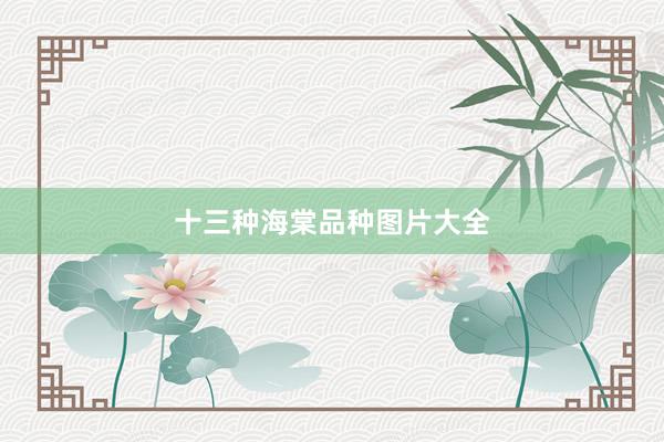十三种海棠品种图片大全